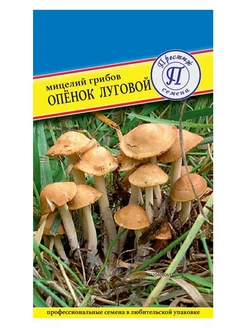 Мицелий грибов "ОПЕНОК ЛУГОВОЙ" Престиж Семена 46179706 купить за 177 ₽ в интернет-магазине Wildberries