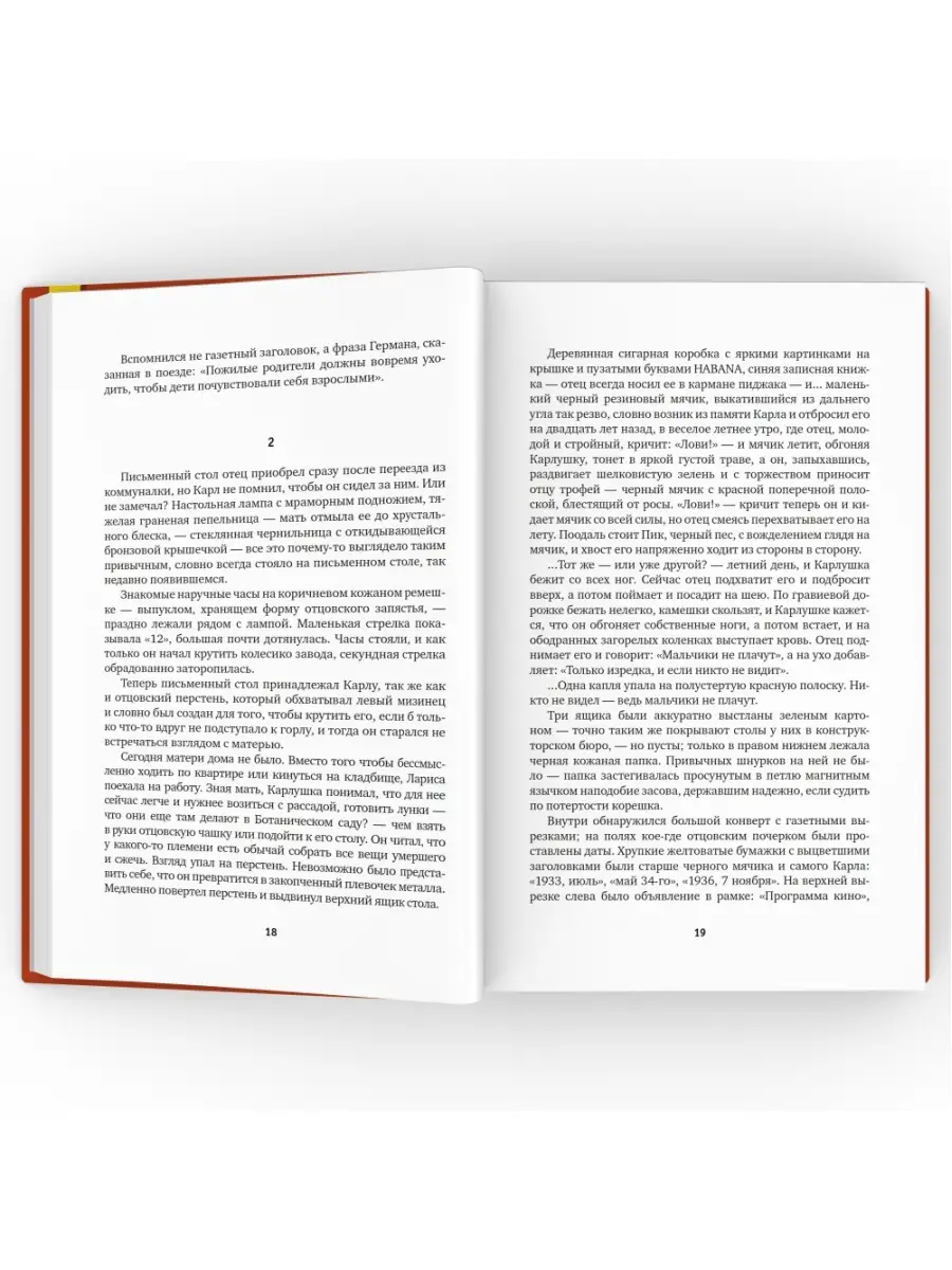 Свет в окне. Роман. ВРЕМЯ издательство 46220766 купить за 977 ₽ в  интернет-магазине Wildberries