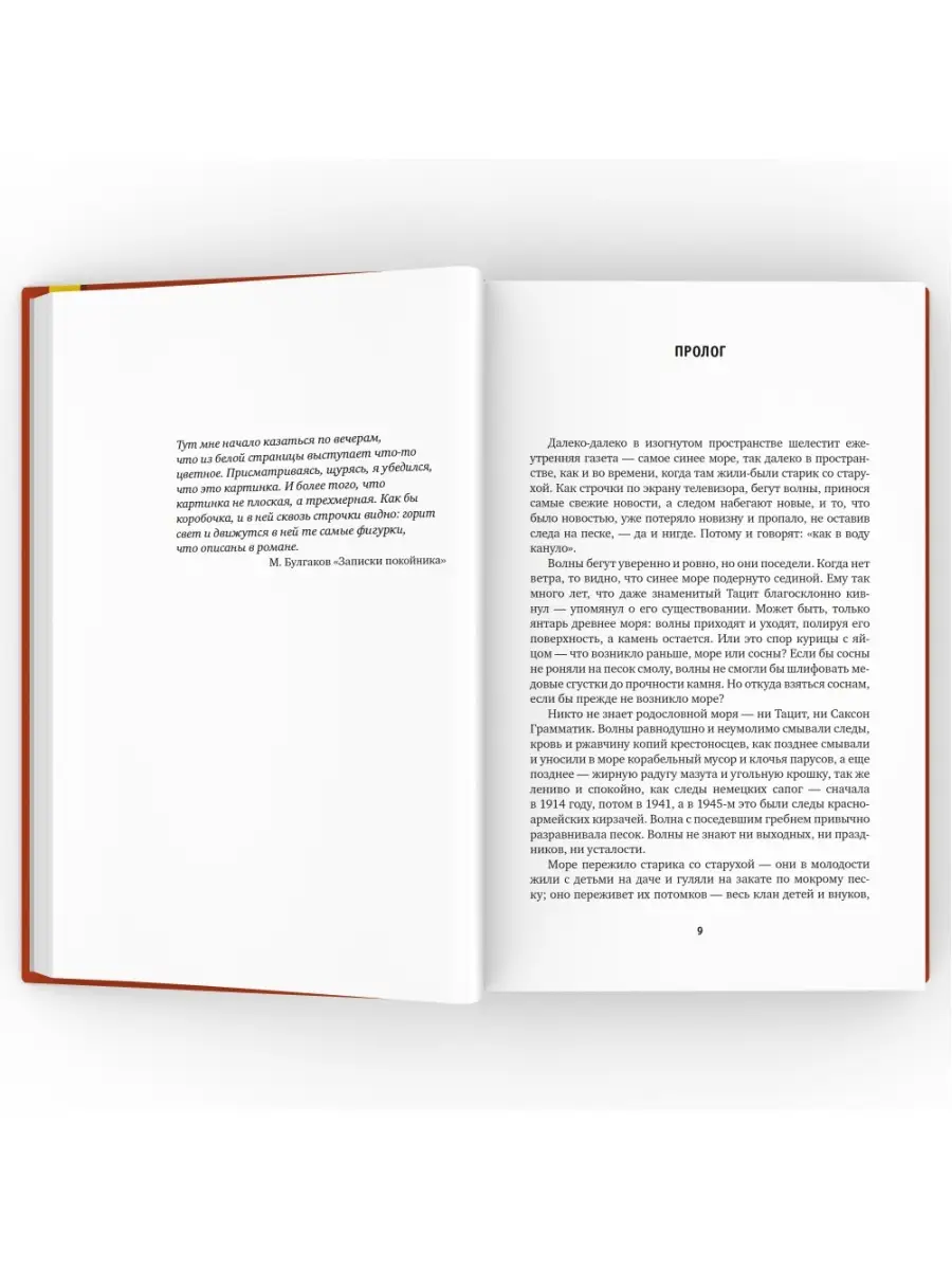 Свет в окне. Роман. ВРЕМЯ издательство 46220766 купить за 988 ₽ в  интернет-магазине Wildberries