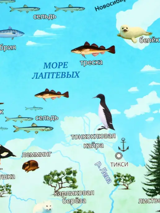 МК Трэйд Карта России географическая физическая для детей, вариант, фото 3