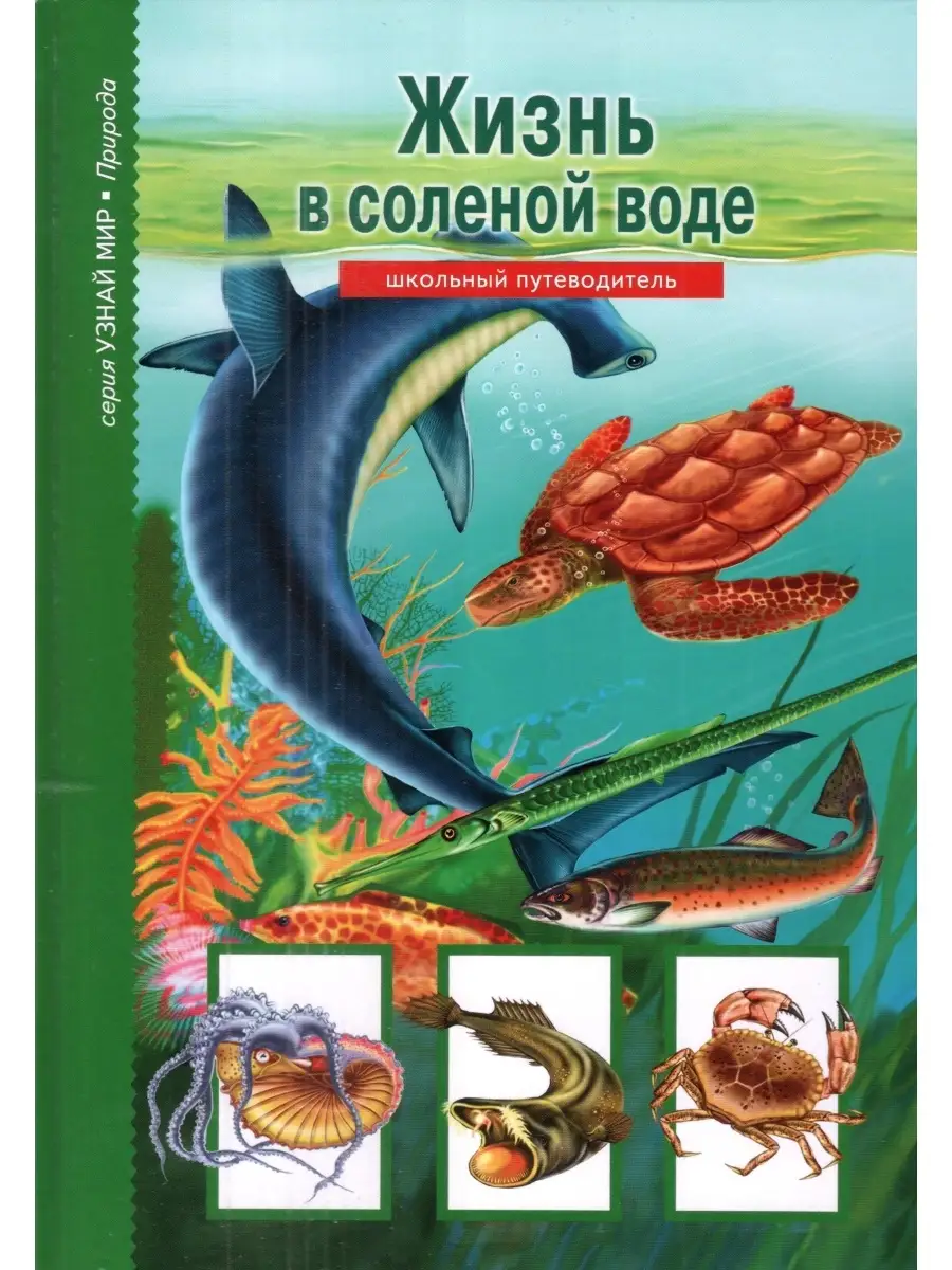 Жизнь в солёной воде. Школьный путеводитель