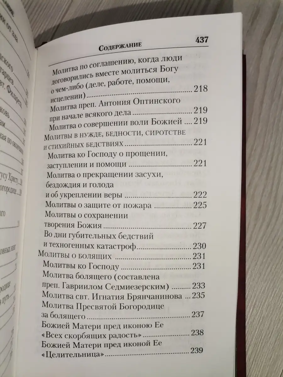 Молитвенник православной женщины. Молитвы на разные случаи с Православный  подвижник 46254814 купить в интернет-магазине Wildberries