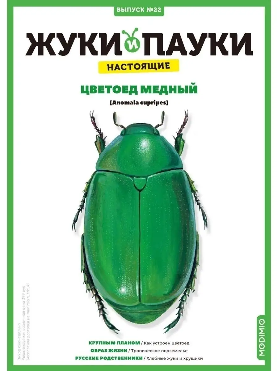 Жуки и пауки, Выпуск №22, Цветоед медный MODIMIO 46460690 купить за 512 ₽ в  интернет-магазине Wildberries