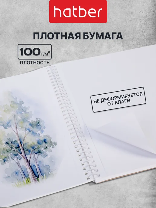 Hatber Альбомы для рисования А4 40 листов 2 штуки набор, серый, фото 2