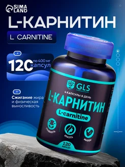  l carnitine  L-Carnitine 3000 (25 )  