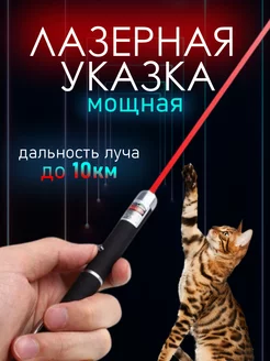 Лазерная указка игрушка для кошек и собак Powerful laseR 46516507 купить за 720 ₽ в интернет-магазине Wildberries