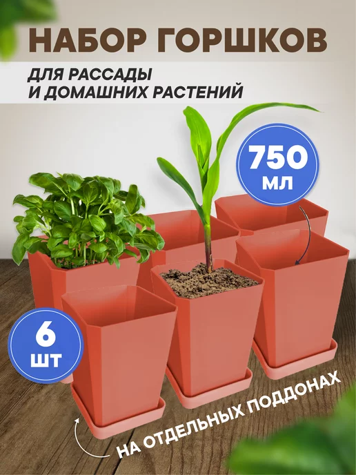 Crownterra Горшки для рассады и цветов, коричневый
