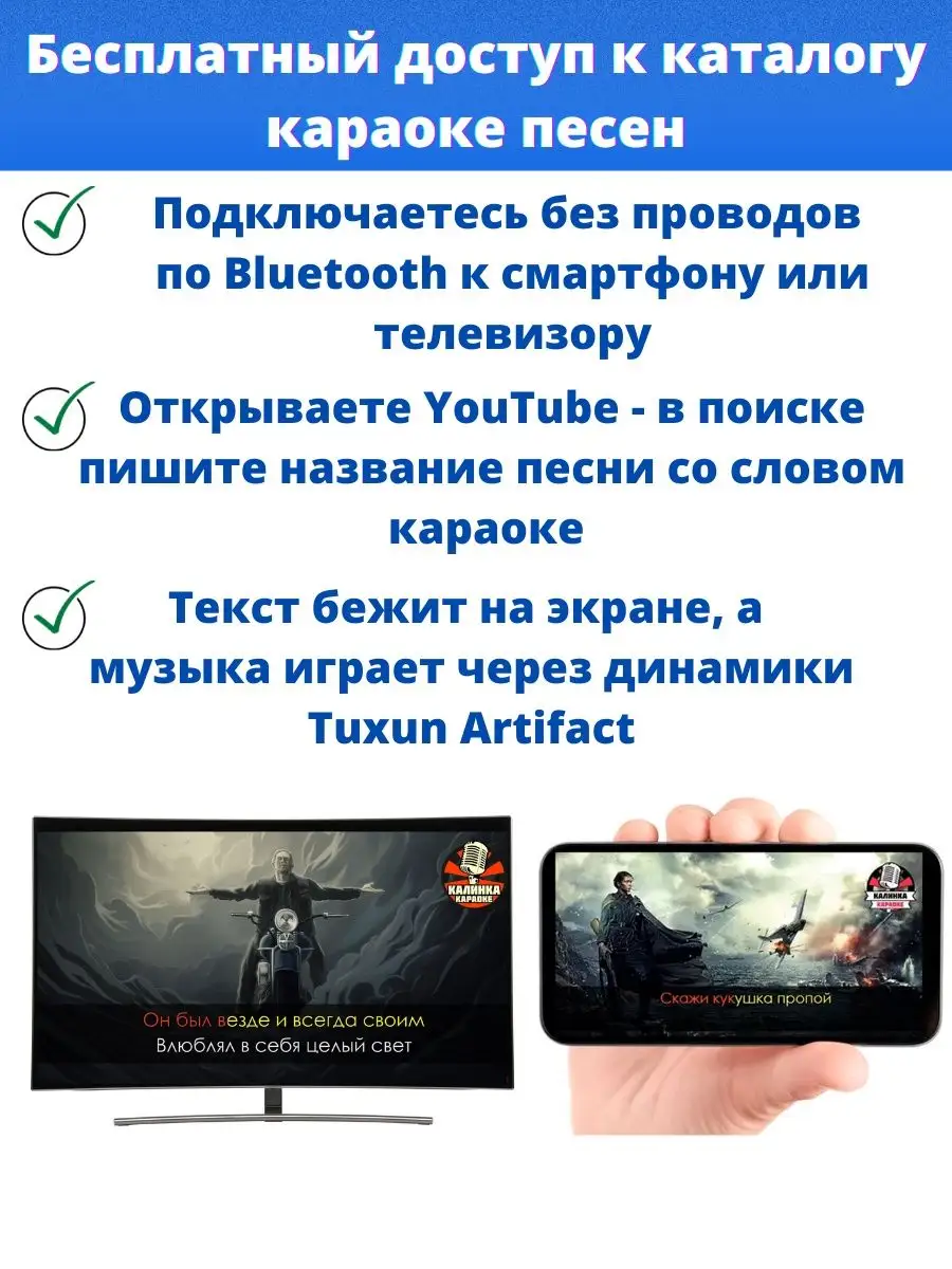 Караоке система с двумя микрофонами Artifact 2.1 PRO Tuxun 46548791 купить  за 12 269 ₽ в интернет-магазине Wildberries