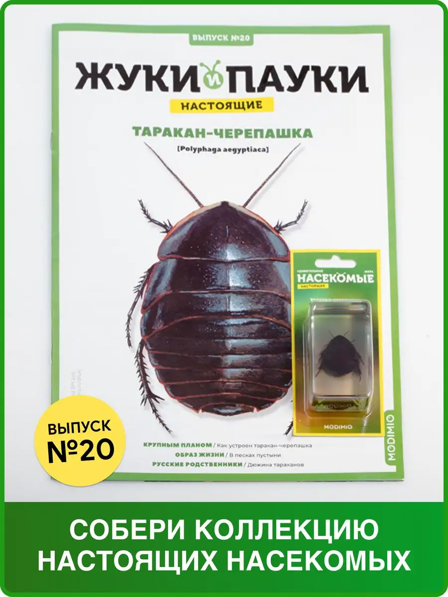 Жуки и пауки, Выпуск №20, Таракан-черепашка MODIMIO 46625812 купить за 477  ₽ в интернет-магазине Wildberries