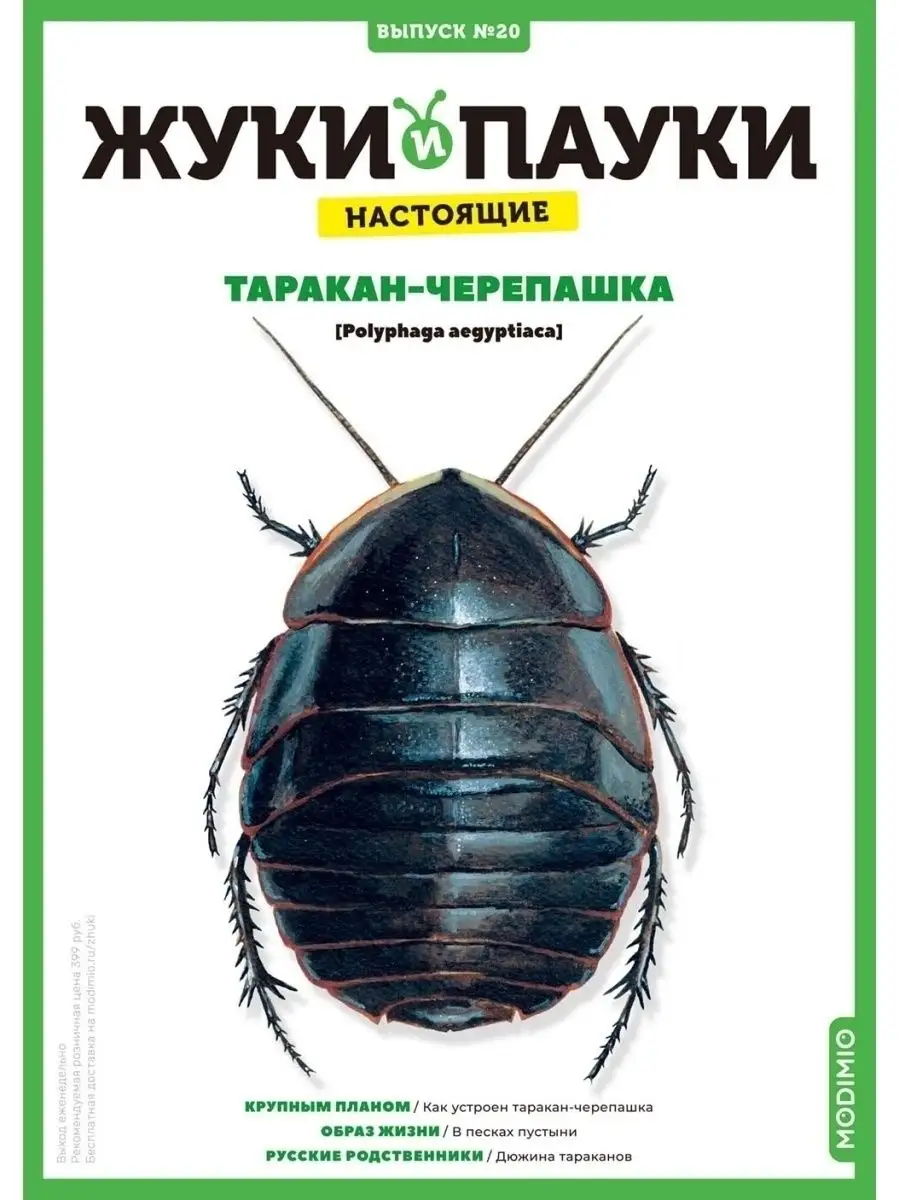 Жуки и пауки, Выпуск №20, Таракан-черепашка MODIMIO 46625812 купить за 477  ₽ в интернет-магазине Wildberries