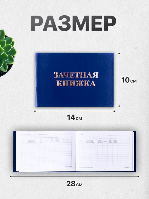 Calligrata Зачетная книжка, синяя, синий, фото 3