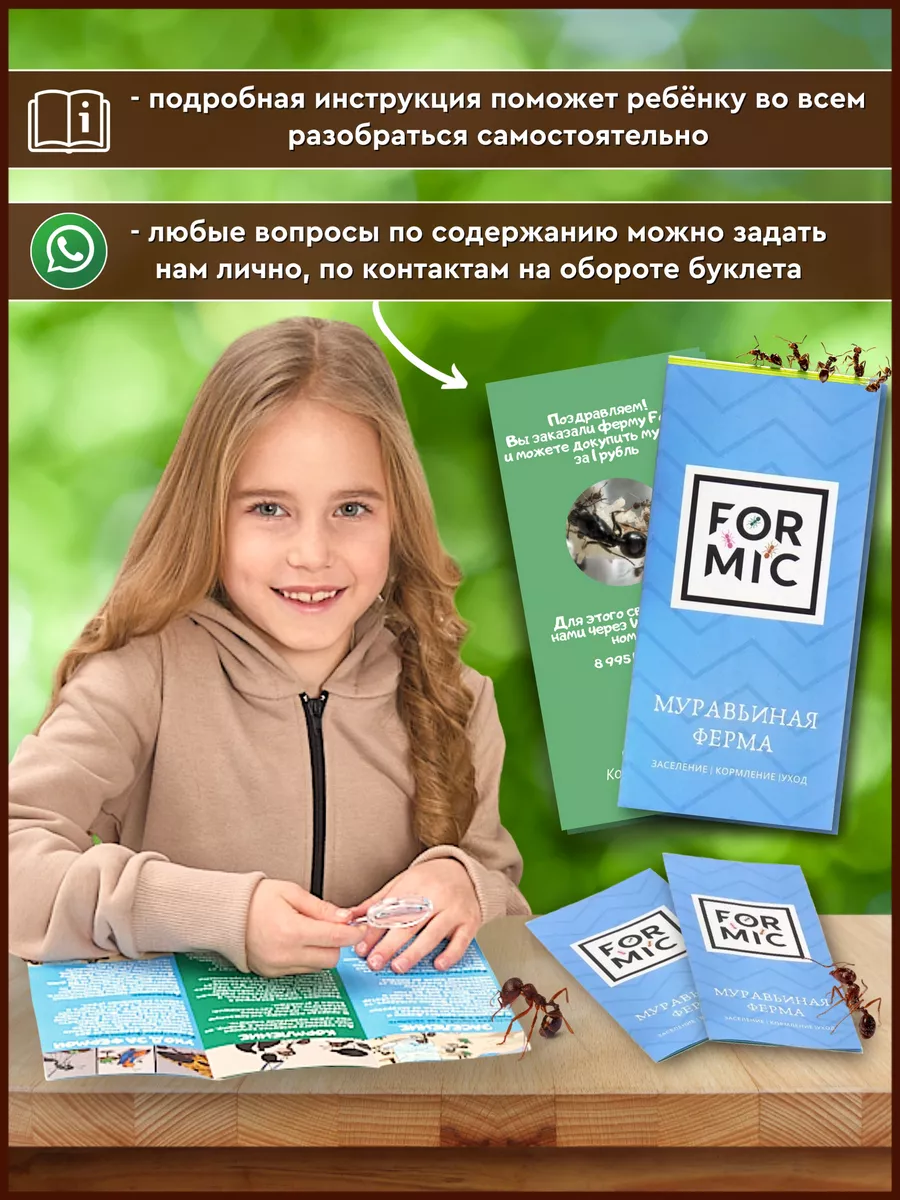 Муравьиная ферма Макс Листва FORMIC 46648244 купить за 768 ₽ в  интернет-магазине Wildberries