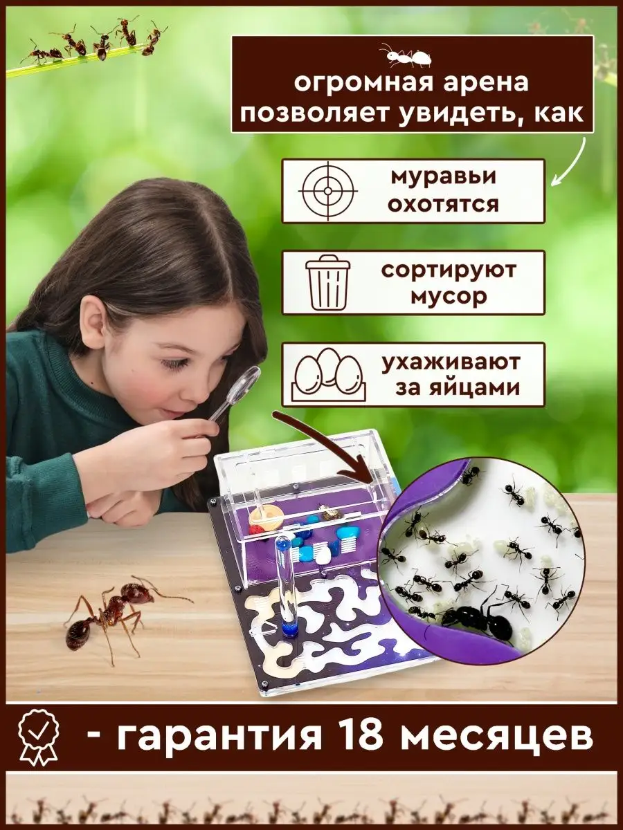 Муравьиная ферма Макс Космос FORMIC 46661442 купить за 923 ₽ в  интернет-магазине Wildberries