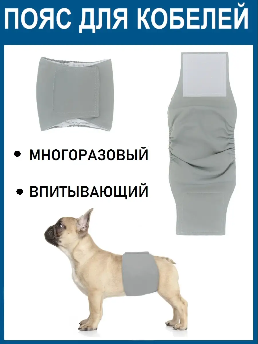 Памперсы, подгузники и пелёнки для собак | KИКА