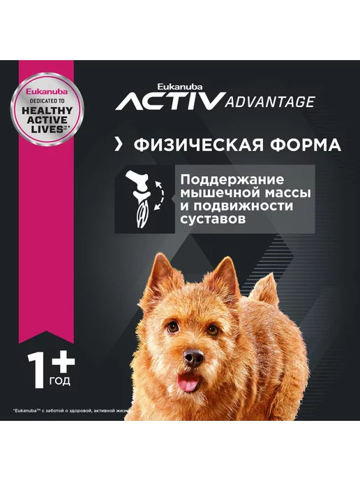 Сухой корм Eukanuba для собак, 3 кг, фото 7