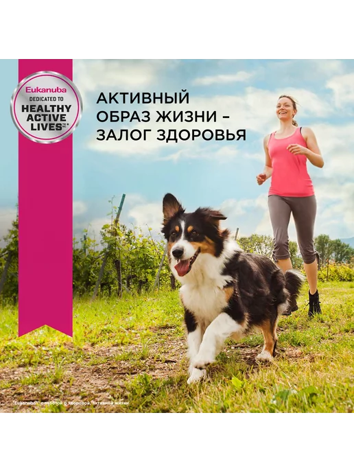 Сухой корм Eukanuba для собак, 3 кг, фото 8