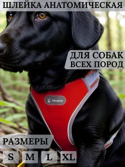 Прогулочная шлейка для собак средних и крупных пород Mirestra 46719511 купить за 591 ₽ в интернет-магазине Wildberries