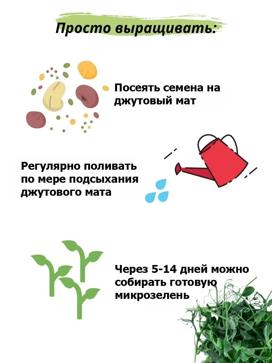 Микрозелень для проращивания Рукола Горчица Горох Микрозелень Fresh Greens  46731308 купить в интернет-магазине Wildberries