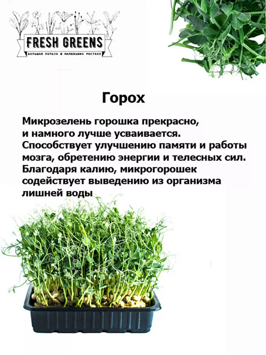 Микрозелень для проращивания Рукола Горчица Горох Микрозелень Fresh Greens  46731308 купить в интернет-магазине Wildberries