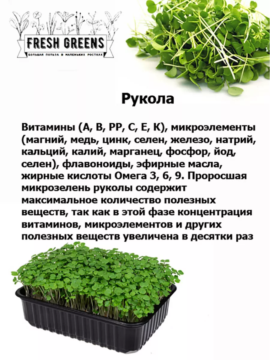 Микрозелень для проращивания Рукола Горчица Горох Микрозелень Fresh Greens  46731308 купить в интернет-магазине Wildberries