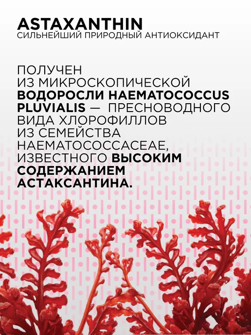 PROTEIN.COMPANY Астаксантин Здоровая кожа Иммунитет БАД, вариант, фото 2