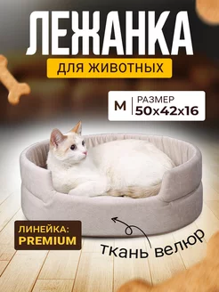 Лежанка для Собак и Кошек Средних, Велюр Mad Lion 46813660 купить за 851 ₽ в интернет-магазине Wildberries