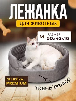 Лежанка для Собак и Кошек Средних, Велюр Mad Lion 46813661 купить за 851 ₽ в интернет-магазине Wildberries