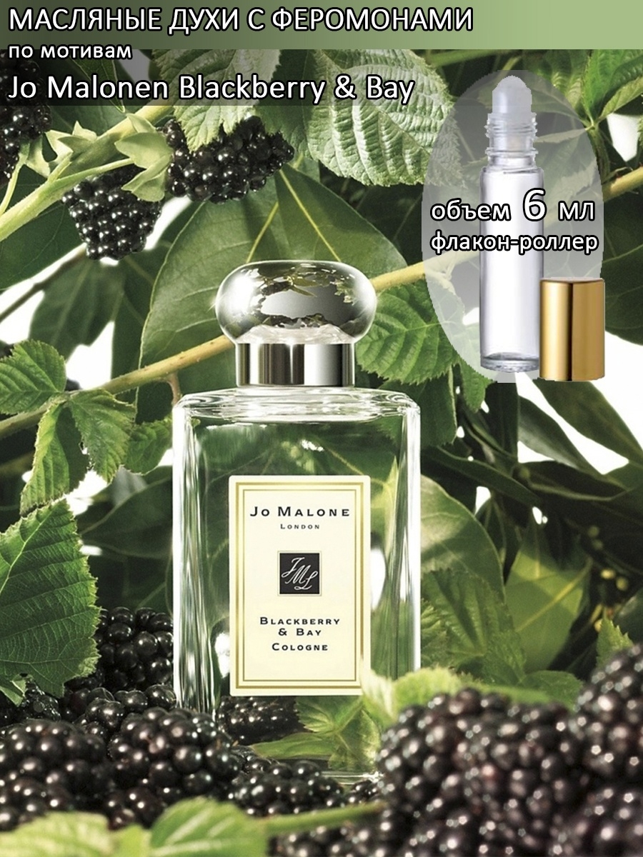 Blackberry bay духи. Jo Malone BLACKBERRY Bay. Духи Джо Малон ежевика. Джо Малон духи блэкберри. Jo Malone духи BLACKBERRY Bay.