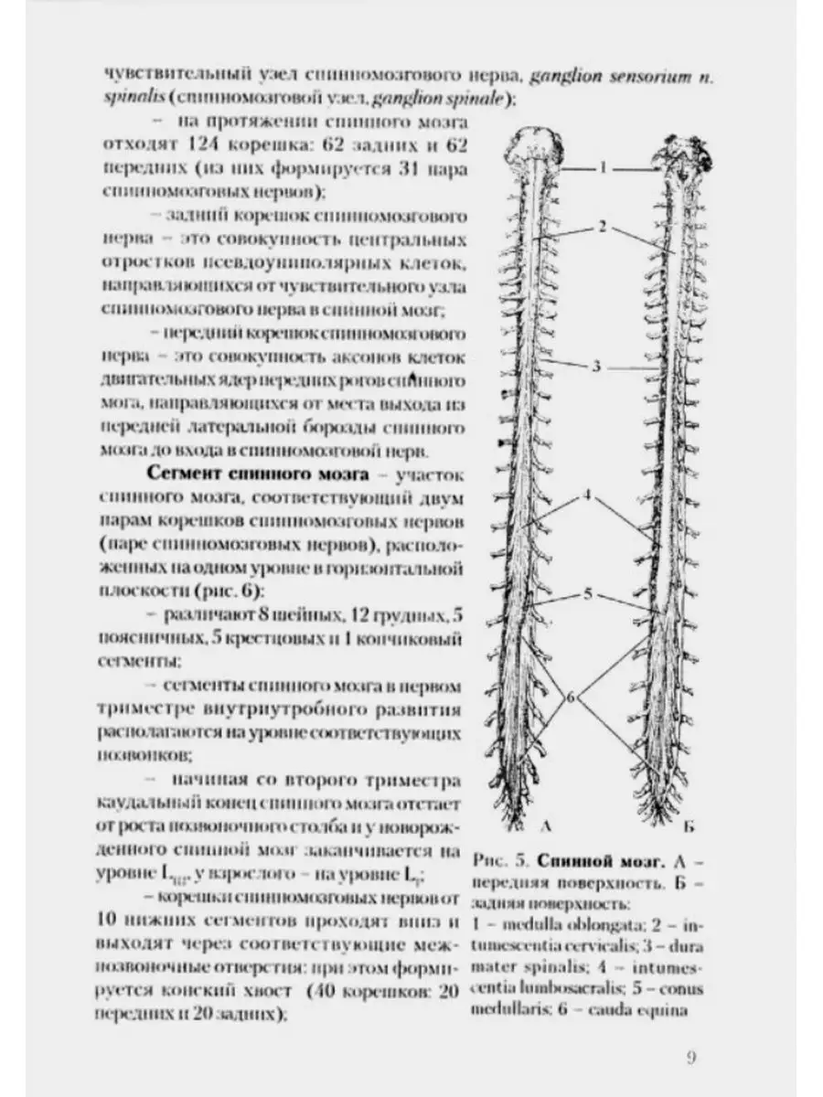 Синдромы дисфункции черепных нервов