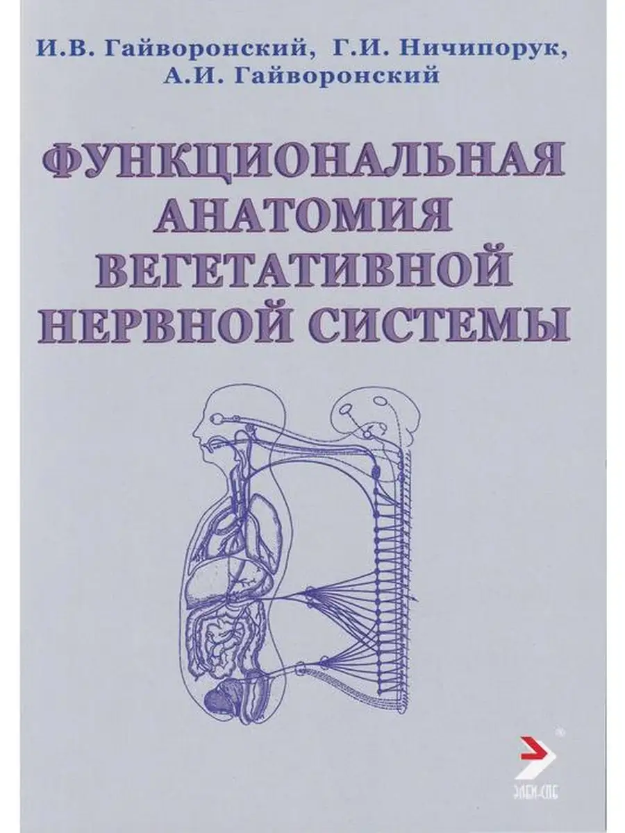 Функциональная анатомия вегетативной нер