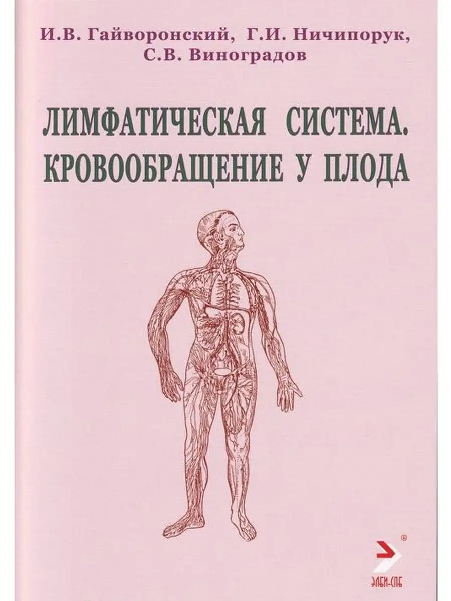 Лимфатическая система. Кровообращение у