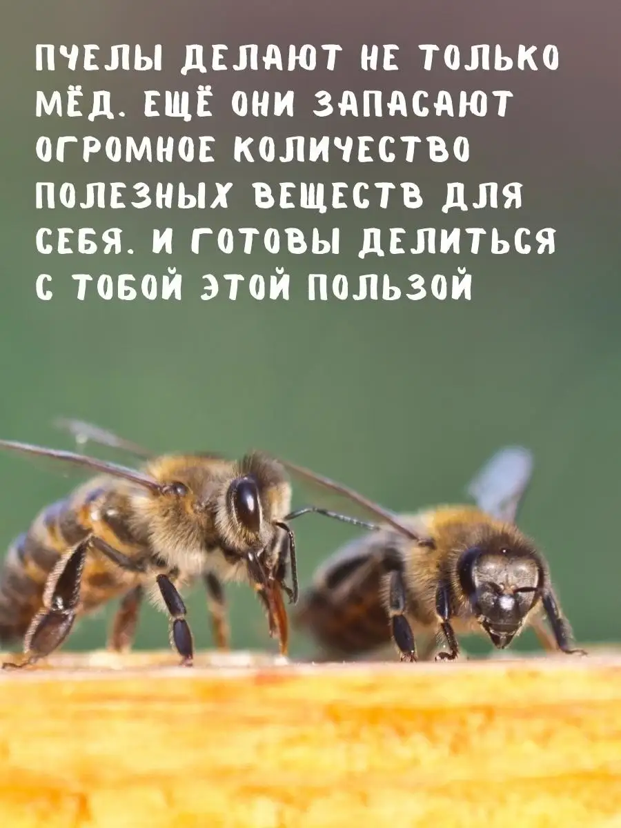 ЖИВОЙМЕД Забрус цельный для жевания детям 450гр ЖИВОЙМЕД 47314672 купить за  2 776 ₽ в интернет-магазине Wildberries