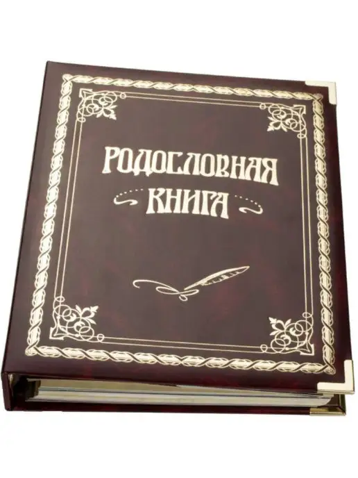 Российский центр родословия Родословная книга "Вишнёвая" семейная книга, красный, фото 5