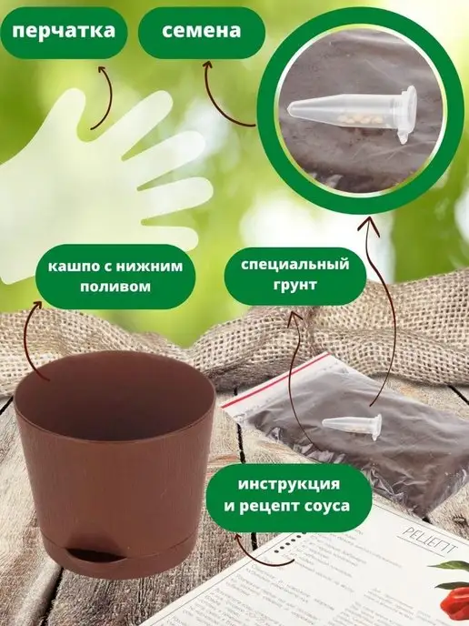 Про Растения Набор для выращивания растения перец острый каролина рипер, вариант, фото 2