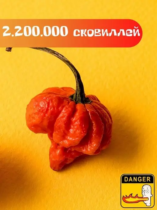 Про Растения Набор для выращивания растения перец острый каролина рипер, вариант, фото 3