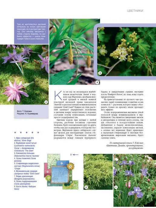 Красивые дома Журнал Дом и сад №1 (82) 2015, вариант, фото 6