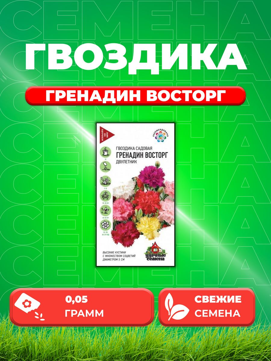 Семена гвоздики садовой. Гвоздика Гренадин. Семена гвоздики. Гвоздики с усиками.