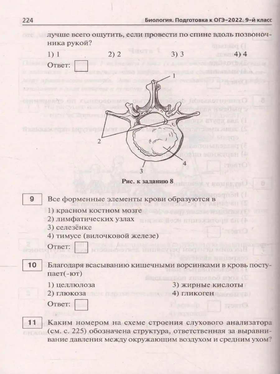 ОГЭ-2022 Биология 9 класс. 20 тренировочных варианта ЛЕГИОН 47589467 купить  в интернет-магазине Wildberries