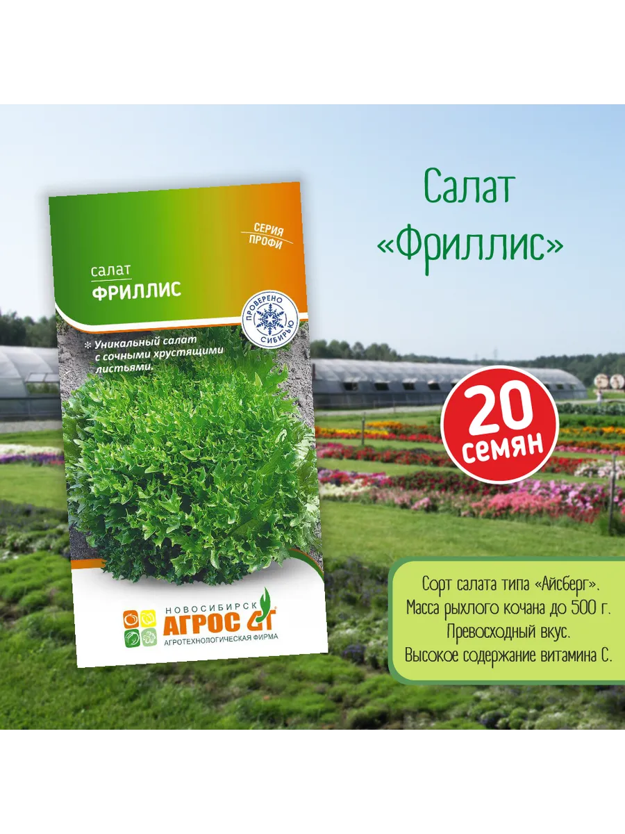 Семена салат Айсберг "Фриллис" 20 семян