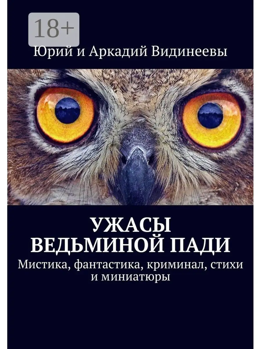 Ведьмина падь аудиокнига. Книга фантастика мистика. Книги Юрия и Аркадия Видинеевых