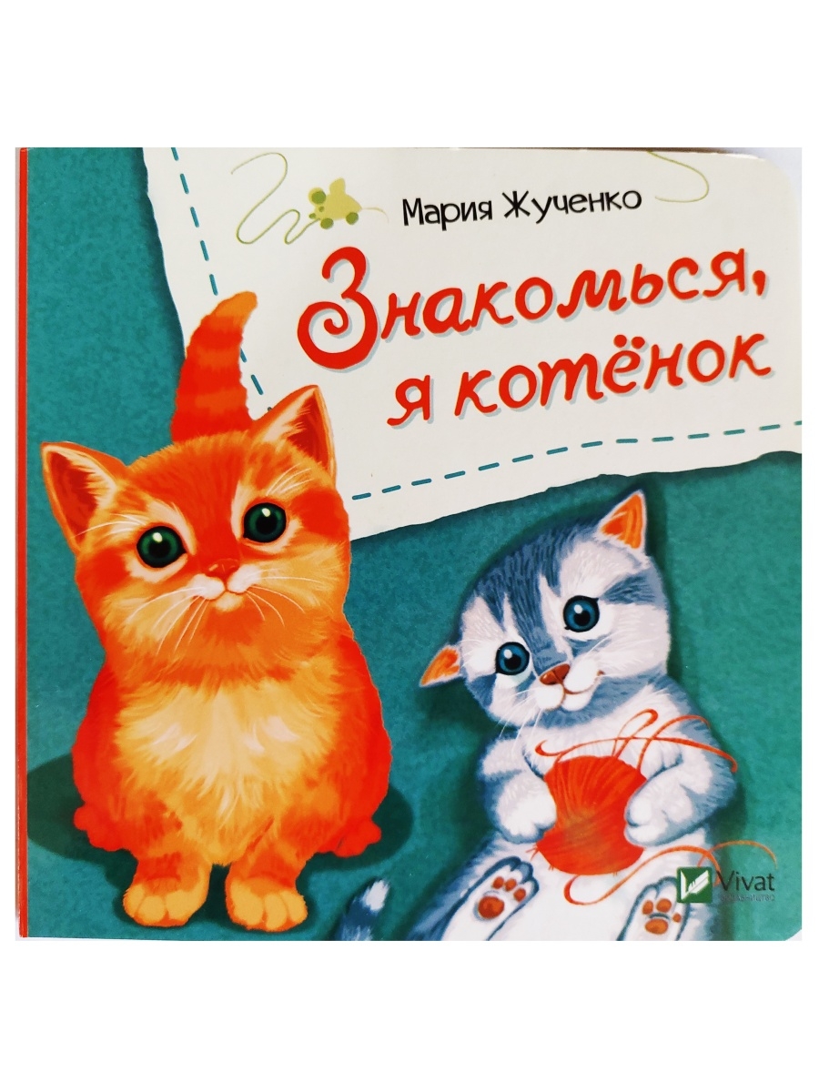 Купите мне котеночка. Я котенок. Давай знакомиться котенок. Закажи мне котика. Котенок доставщик.