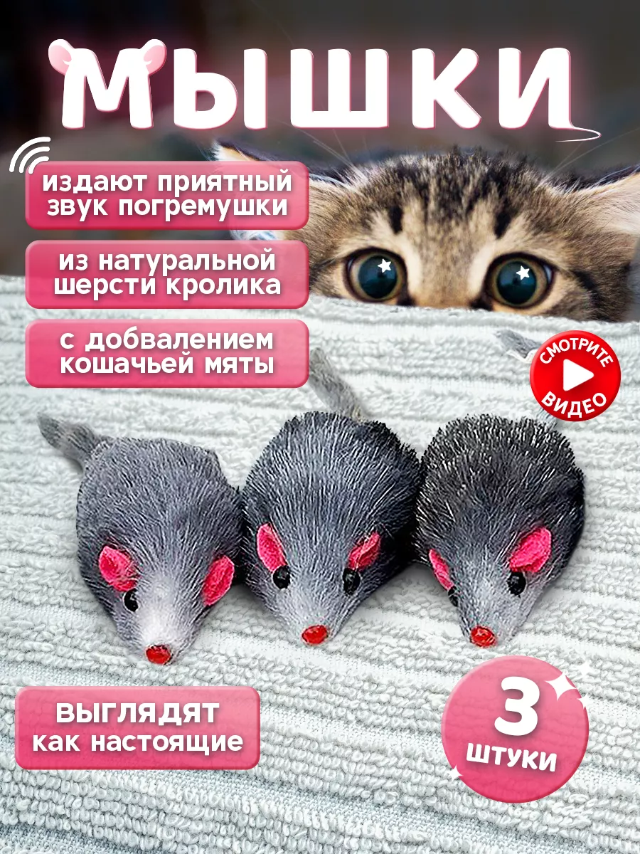 Мышка игрушка для кошек котят мяч Моськин хвост 48158505 купить за 175 ₽ в  интернет-магазине Wildberries