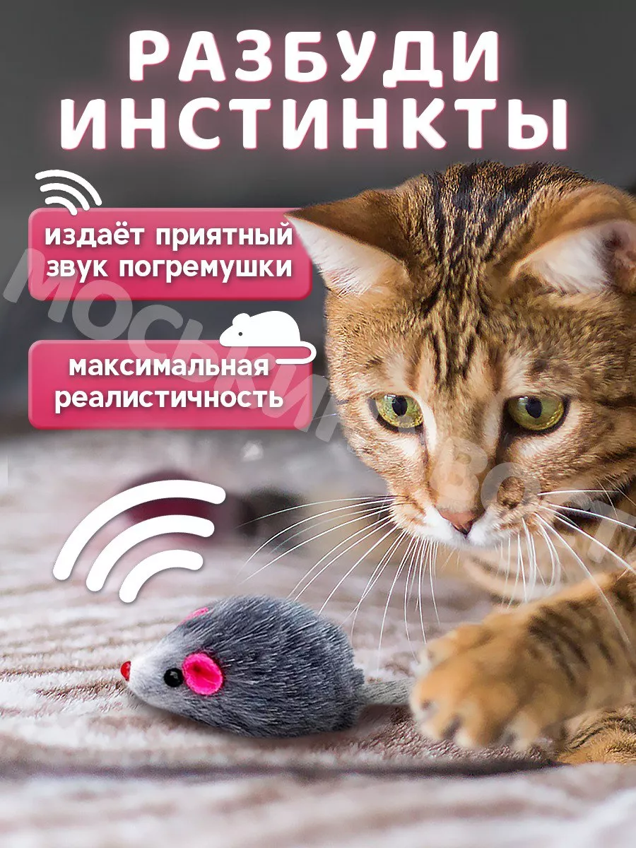 Игрушки для кошек мышки с мятой и погремушкой набор Моськин хвост 48158505  купить за 130 ₽ в интернет-магазине Wildberries