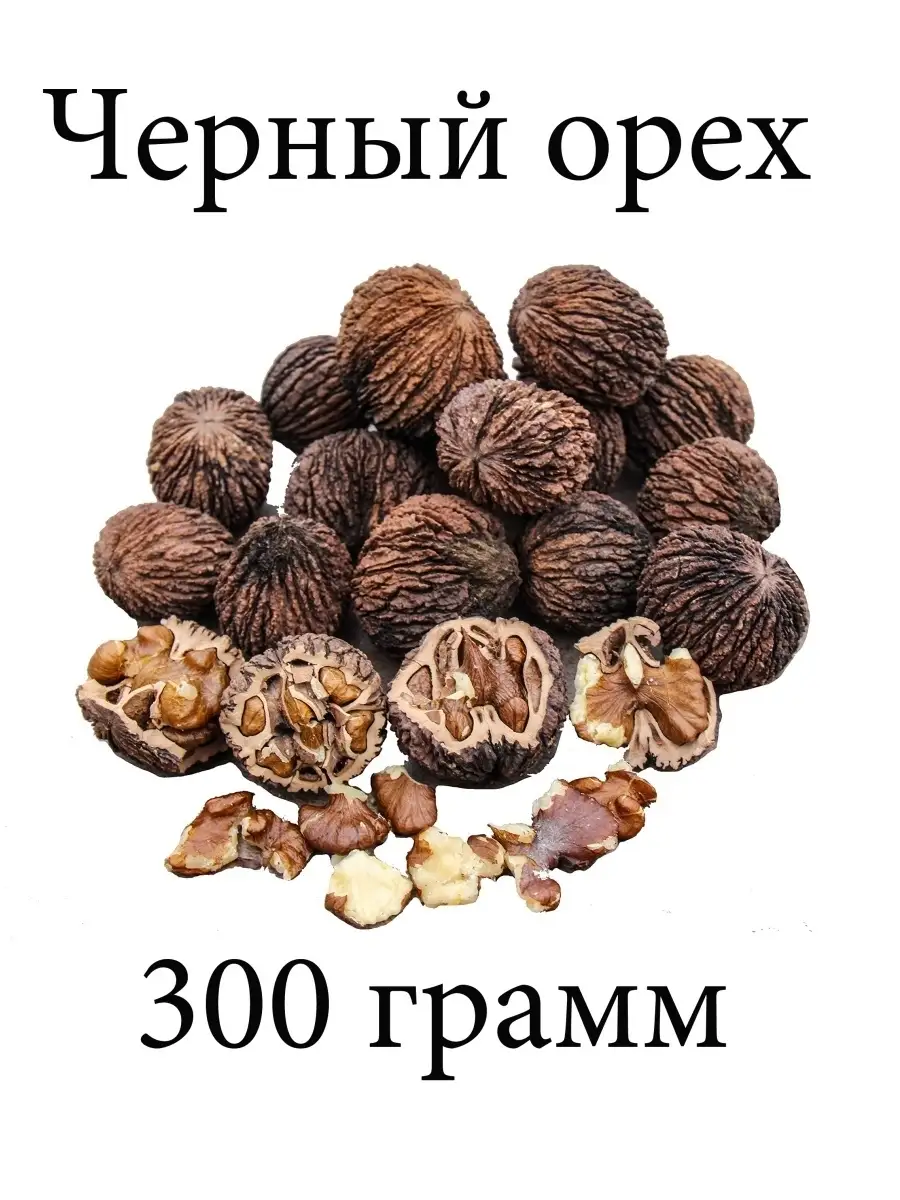 Черный орех (черный грецкий орех) в скорлупе, 300 грамм Дары Жизни 48199759  купить в интернет-магазине Wildberries