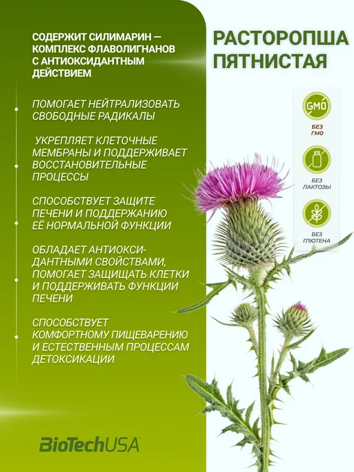 BioTechUSA Расторопша для печени капсулы Милк Тисл Milk Thistle, вариант, фото 4