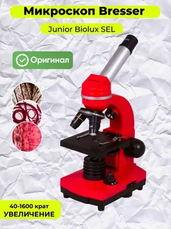 Микроскоп Junior Biolux SEL 40-1600x, красный Bresser 48242879 купить за 12 236 ₽ в интернет-магазине Wildberries