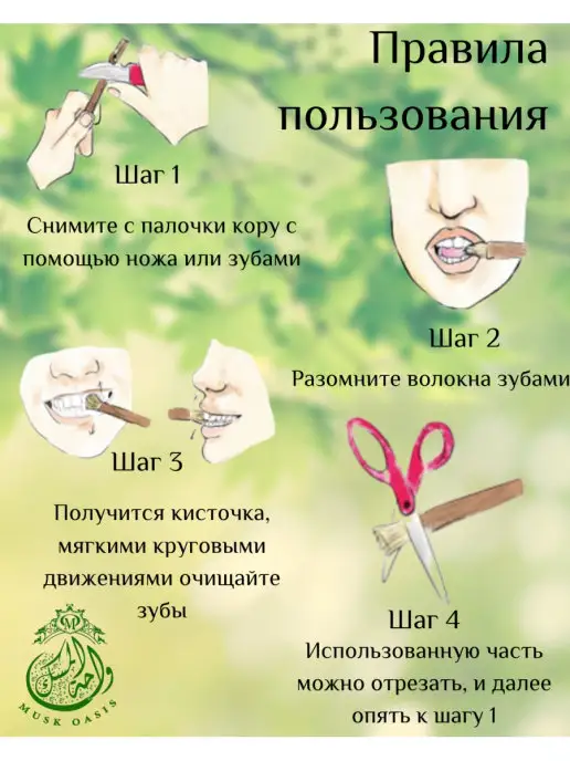 MUSK OASIS Сивак мисвак мятный зубная щетка 1 шт, 1 шт, фото 4
