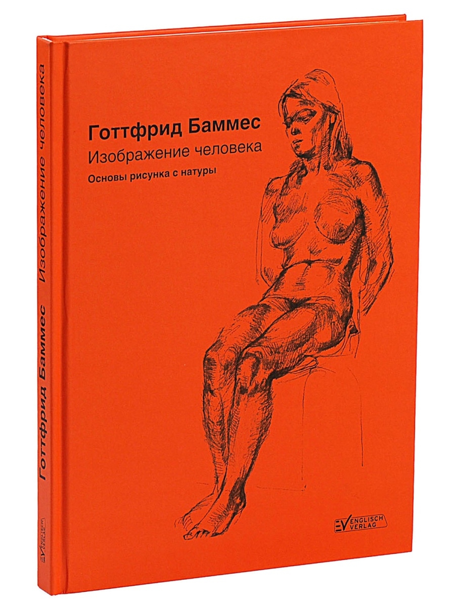 Изображение человека основы рисунка с натуры баммес готфрид