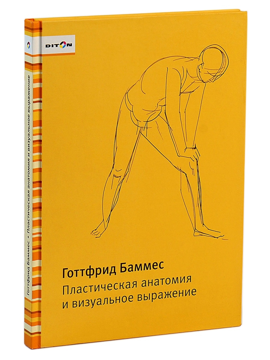 Изображение человека основы рисунка с натуры баммес готфрид