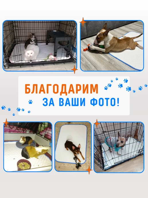 Босс Хвост Пеленка для собак и животных многоразовая непромокаемая, голубой, фото 8